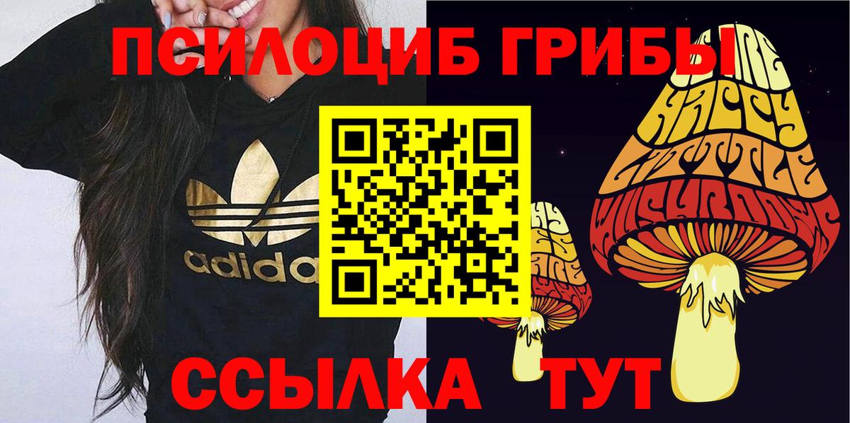 Озёры  Псилоцибиновые грибы Psilocybe  Вход с VPN  Псилоцибиновые грибы прущие грибы 