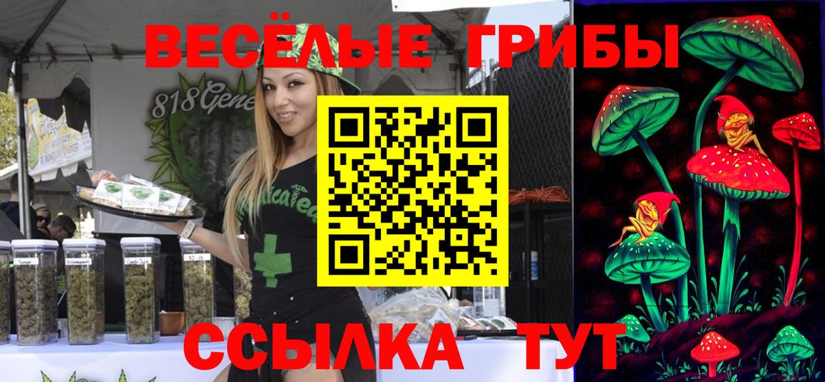 Галлюциногенные грибы Cubensis Озёры